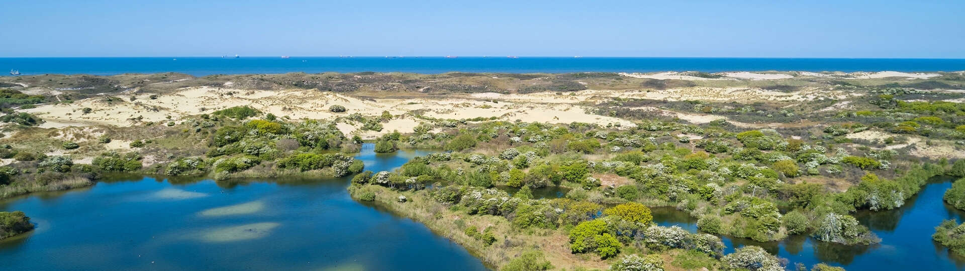 Wald, Dünen, Strand & Stadt